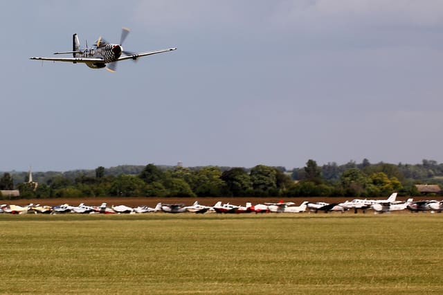 - Warbird