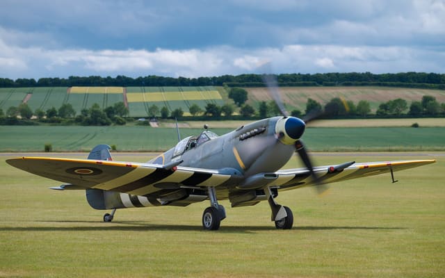 - Warbird