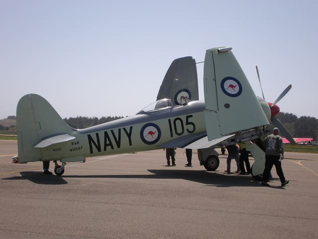 - Warbird