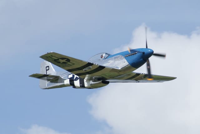 - Warbird