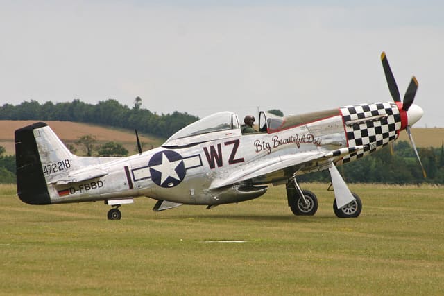 - Warbird