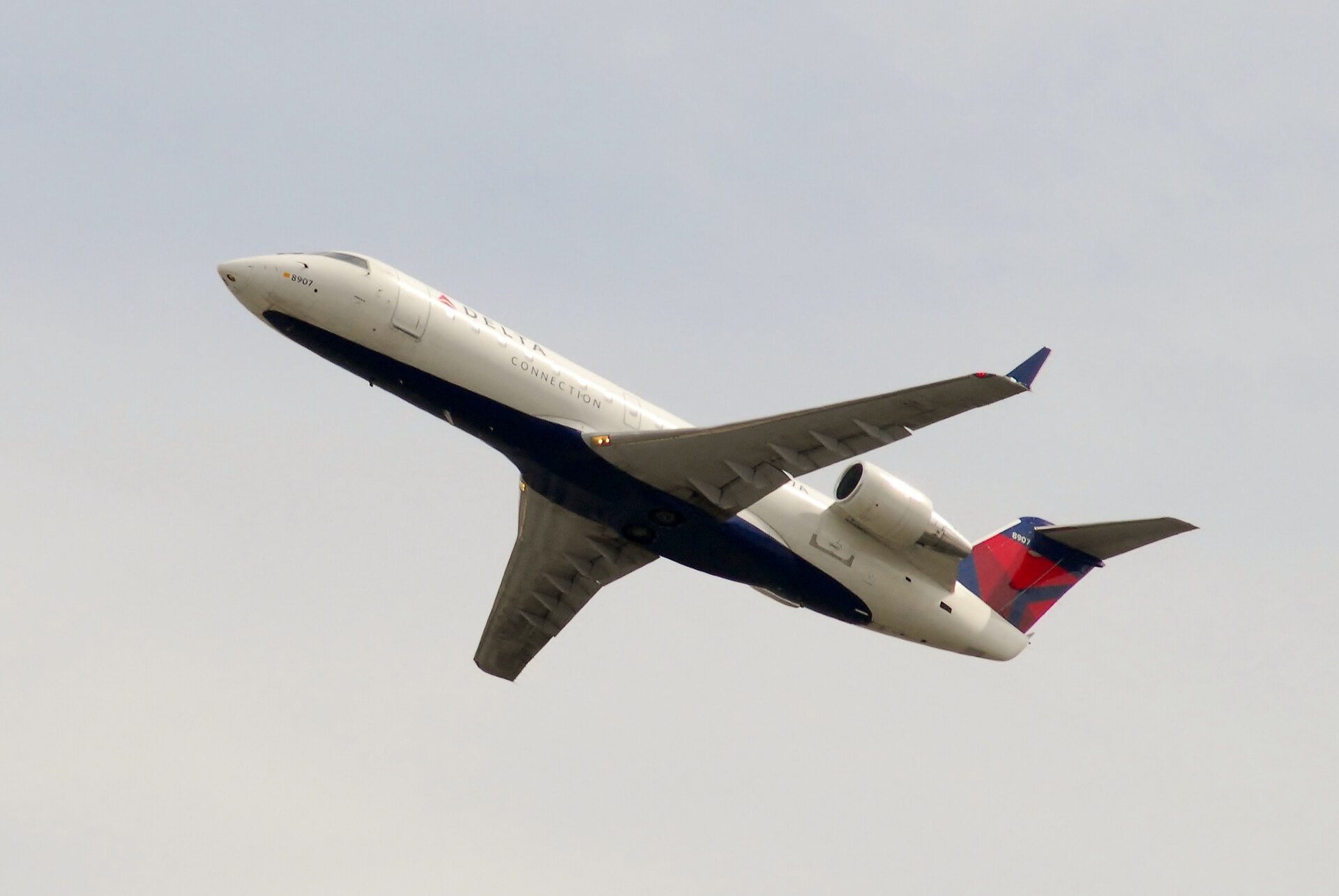 Lord of the Wings's best shot — N8907A