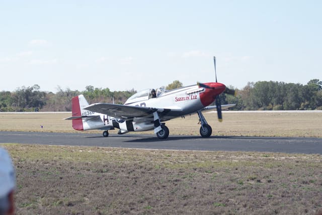 - Warbird
