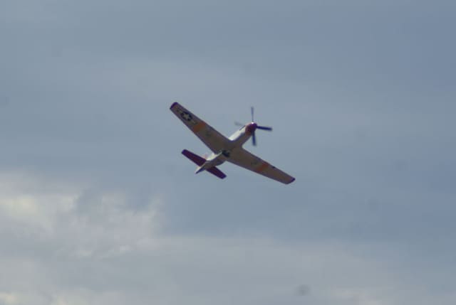- Warbird