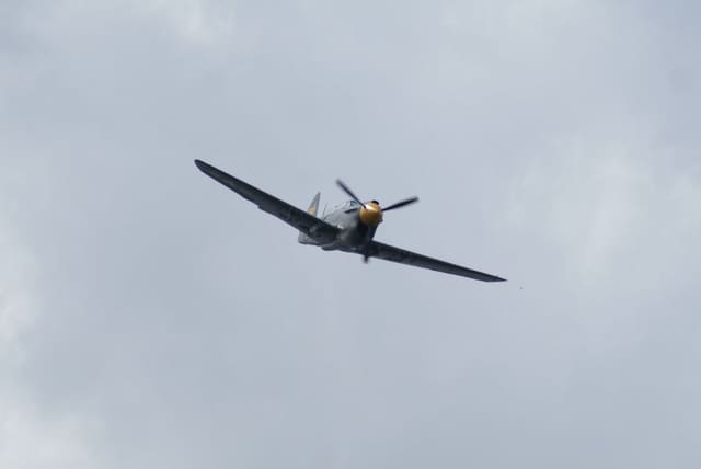 - Warbird