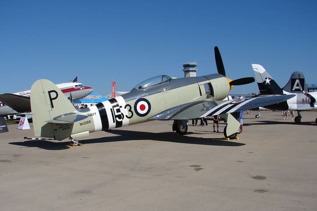 - Warbird