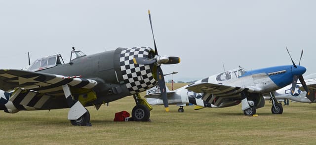 - Warbird