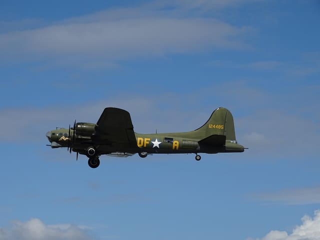 - Warbird