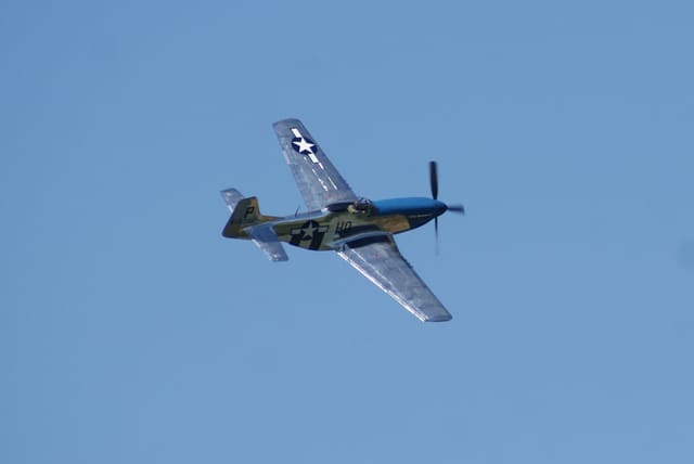 - Warbird