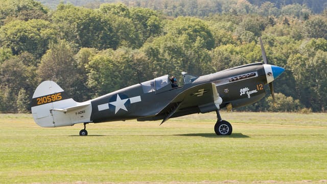 - Warbird