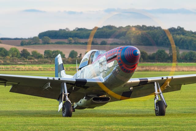- Warbird