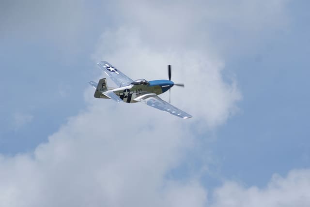 - Warbird