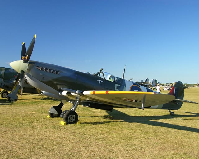 - Warbird