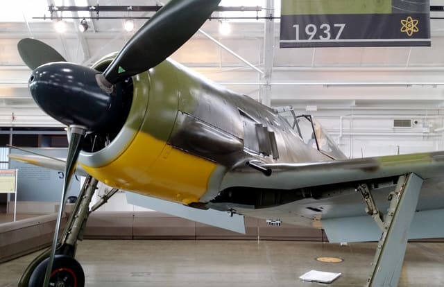 - Warbird
