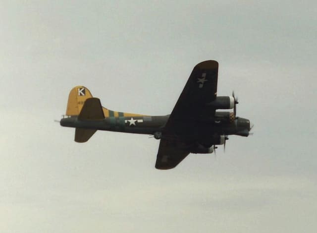 - Warbird