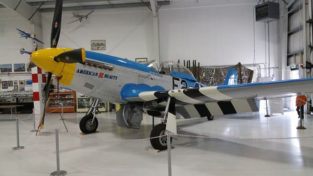 - Warbird
