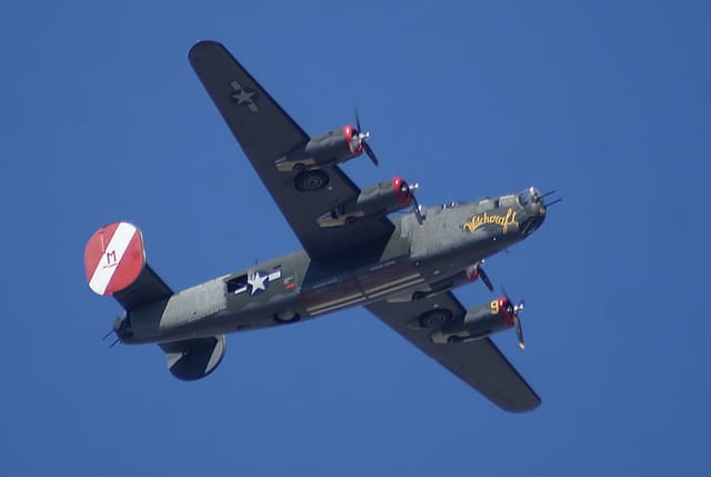 - Warbird