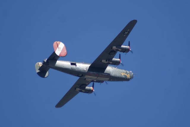 - Warbird