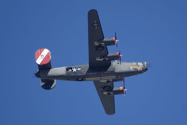 - Warbird