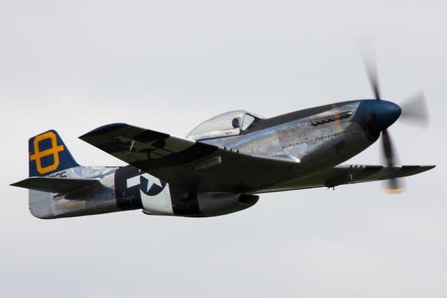 - Warbird