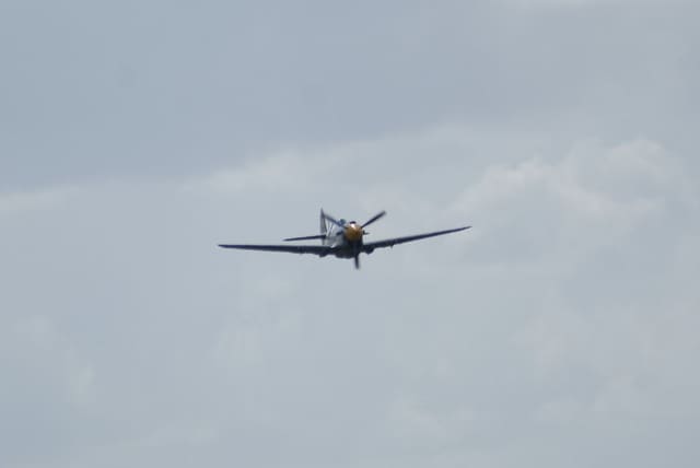 - Warbird