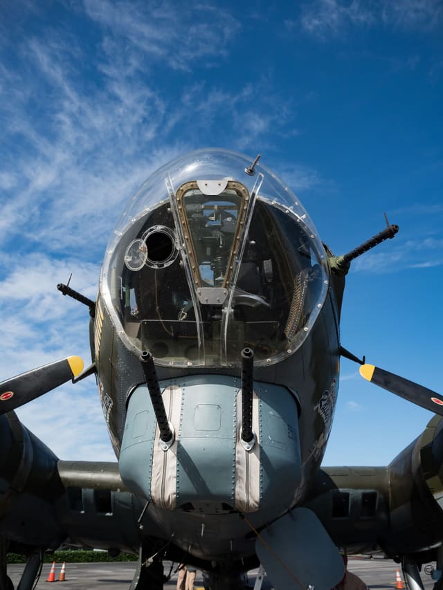 - Warbird
