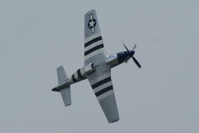 - Warbird