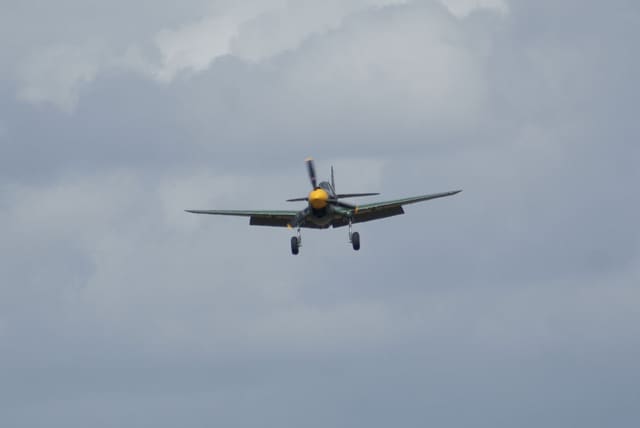 - Warbird