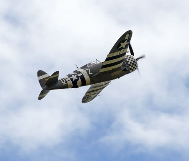 - Warbird
