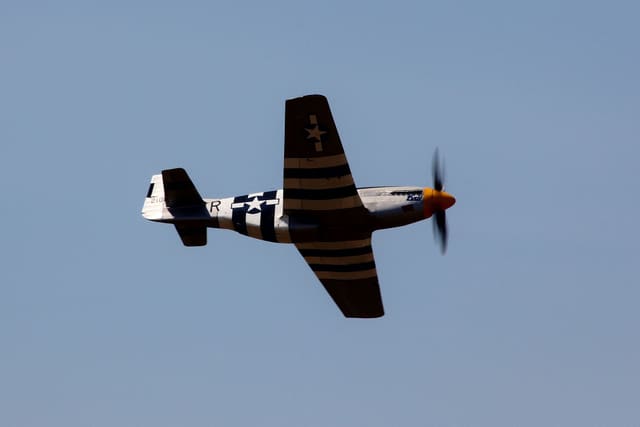 - Warbird