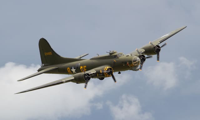 - Warbird