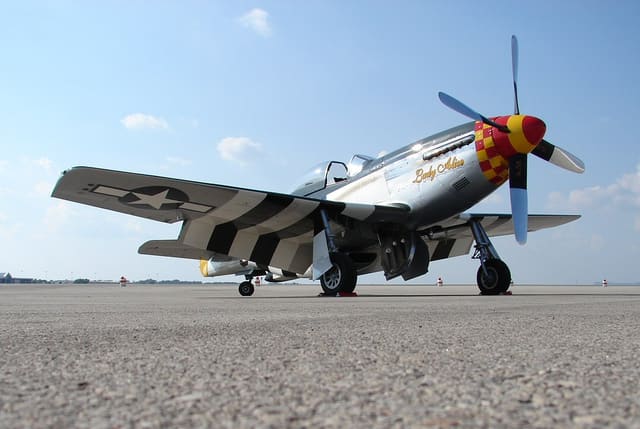 - Warbird