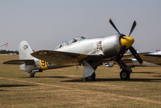 - Warbird