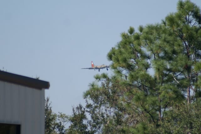 - Warbird