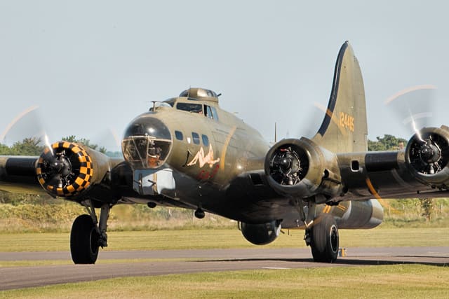 - Warbird