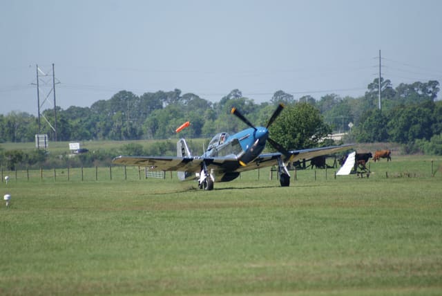 - Warbird