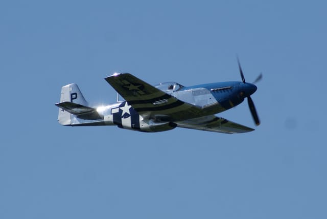 - Warbird