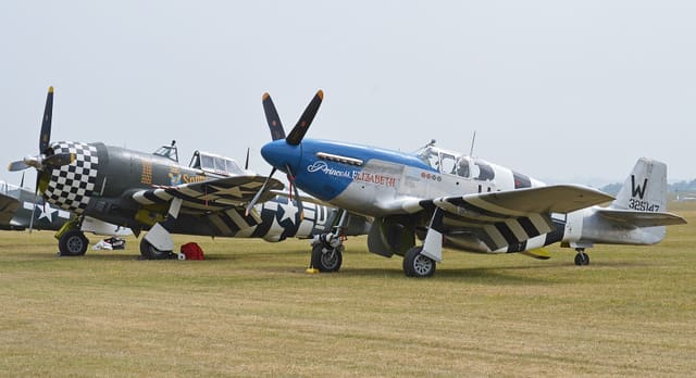 - Warbird