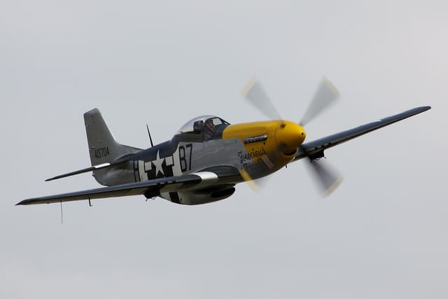 - Warbird
