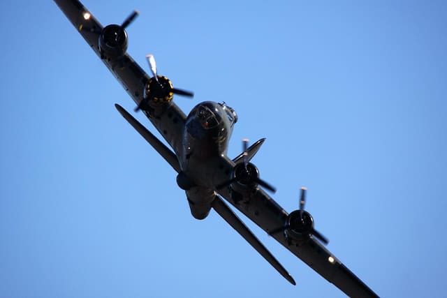 - Warbird