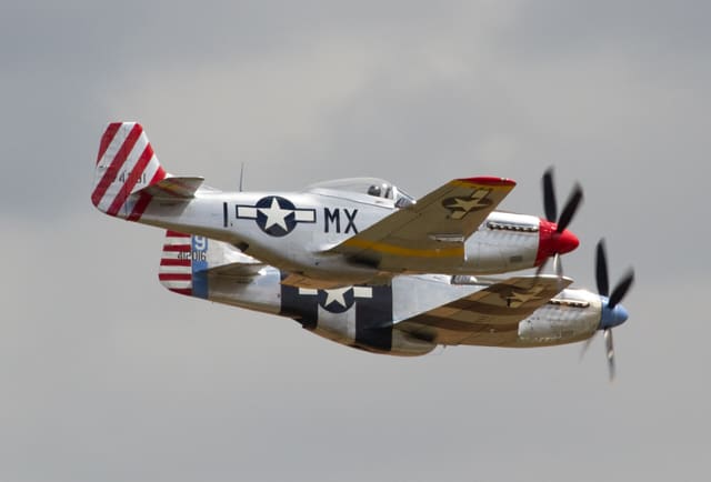 - Warbird
