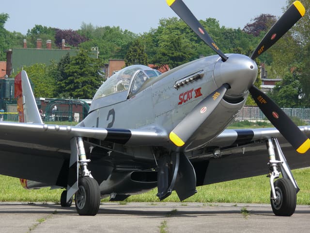 - Warbird