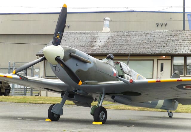 - Warbird