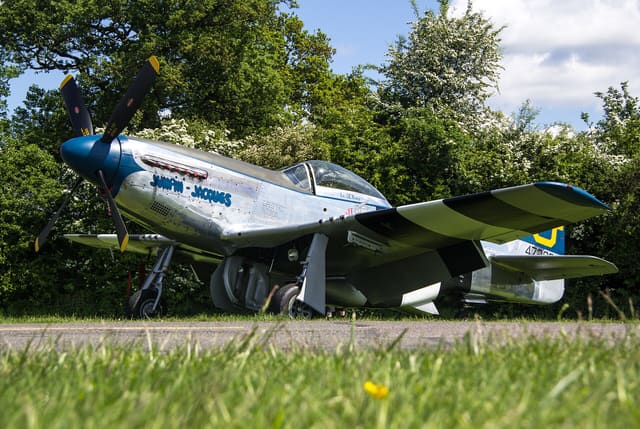 - Warbird