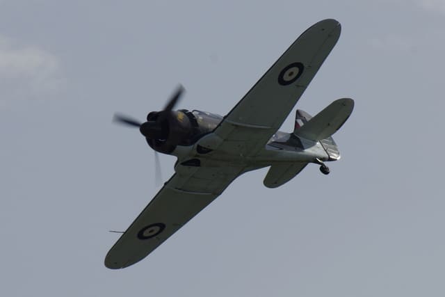 - Warbird