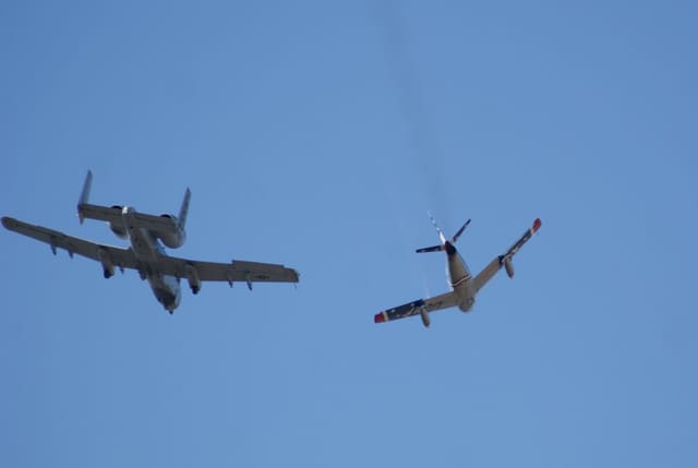 - Warbird