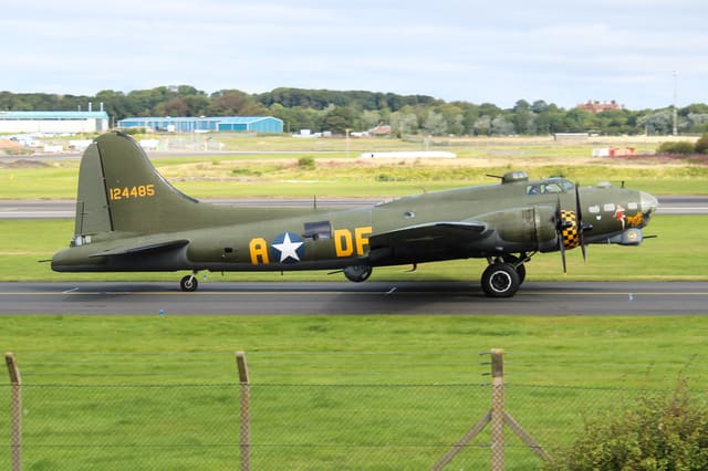 - Warbird