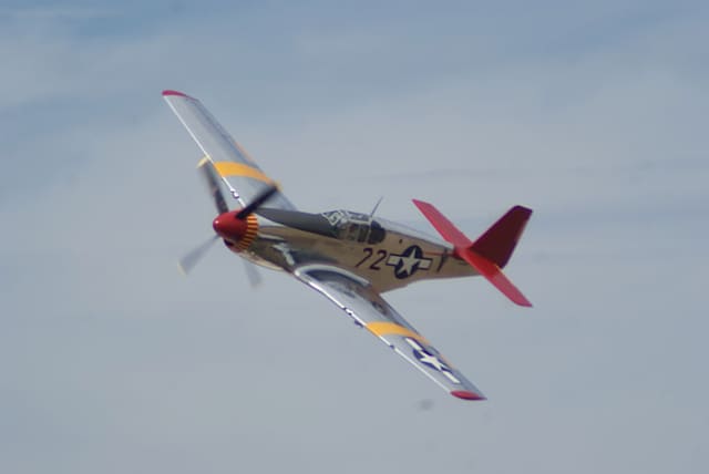 - Warbird