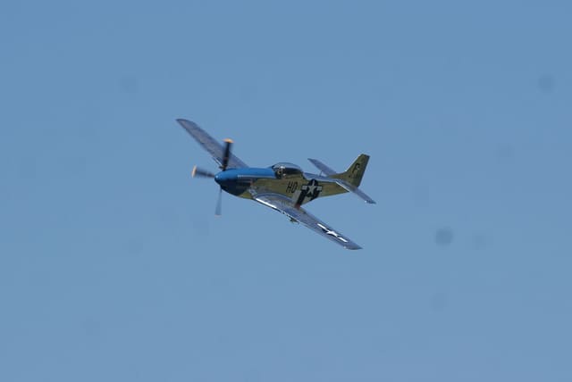 - Warbird