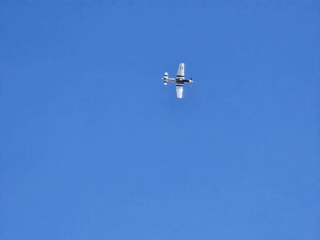 - Single-engine aircraft